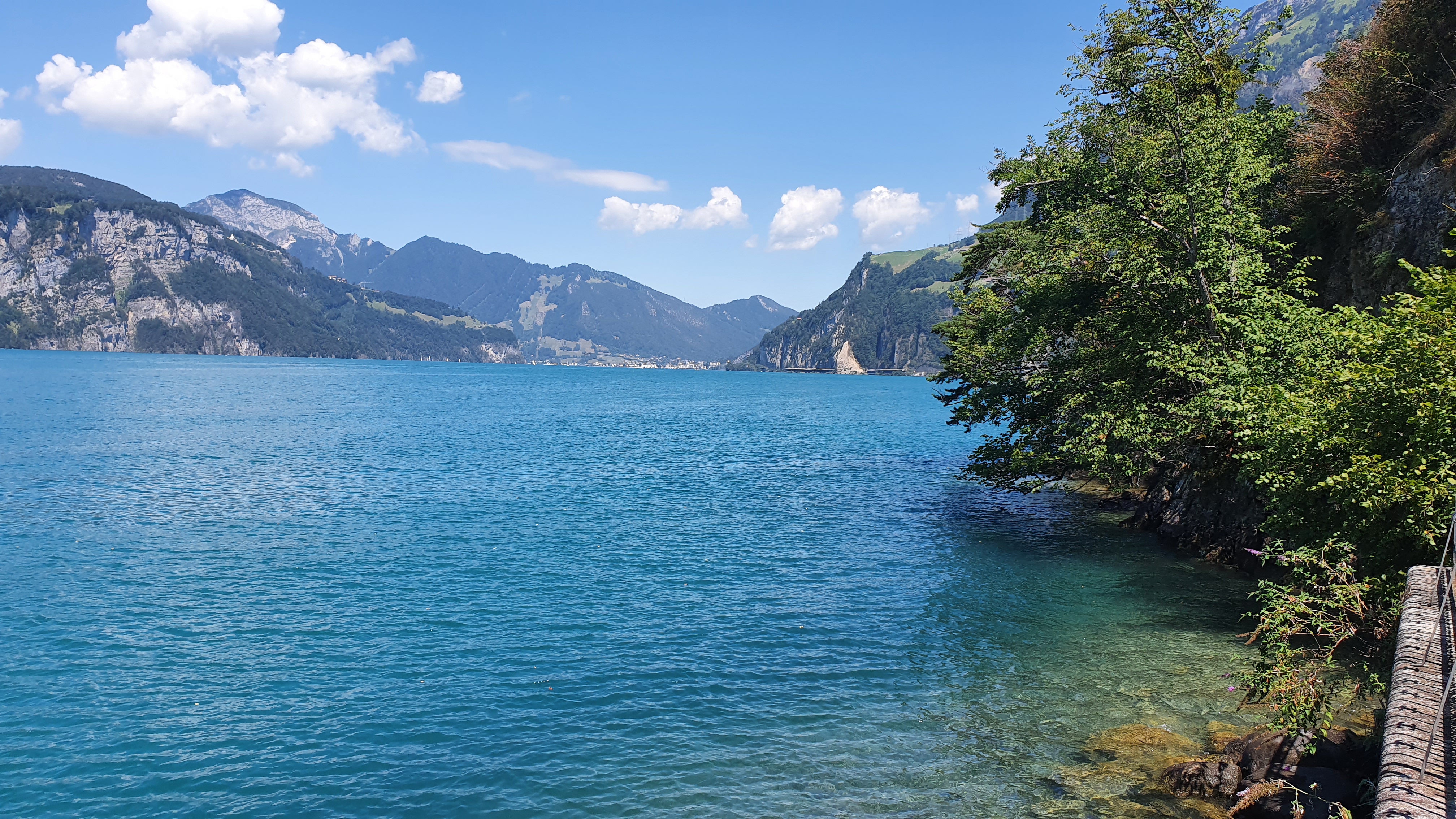 Masters Schwimmtraining