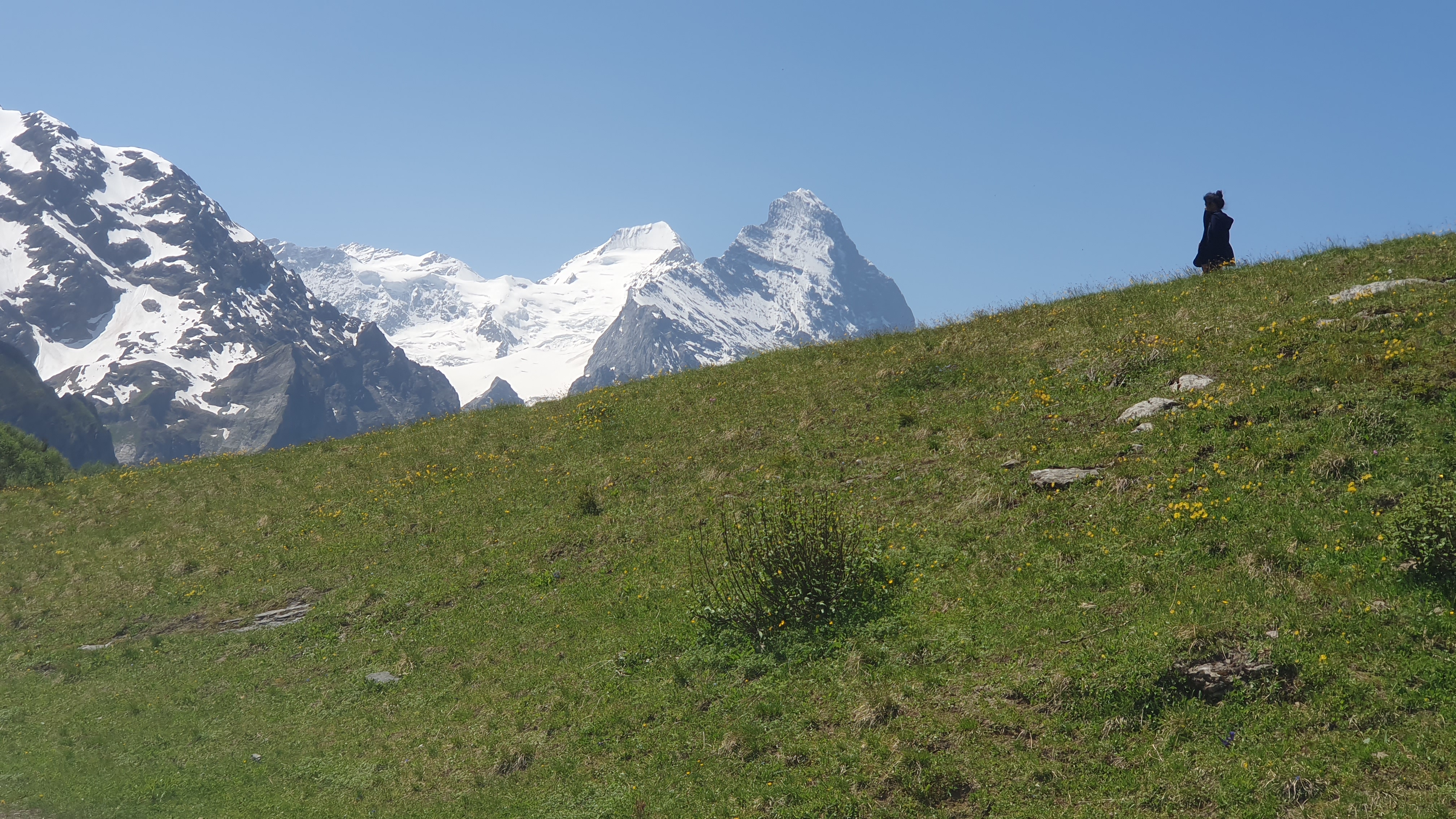 Aussicht Grosse Scheidegg: Eiger, Mönch und Schreckhorn im Berner Oberland