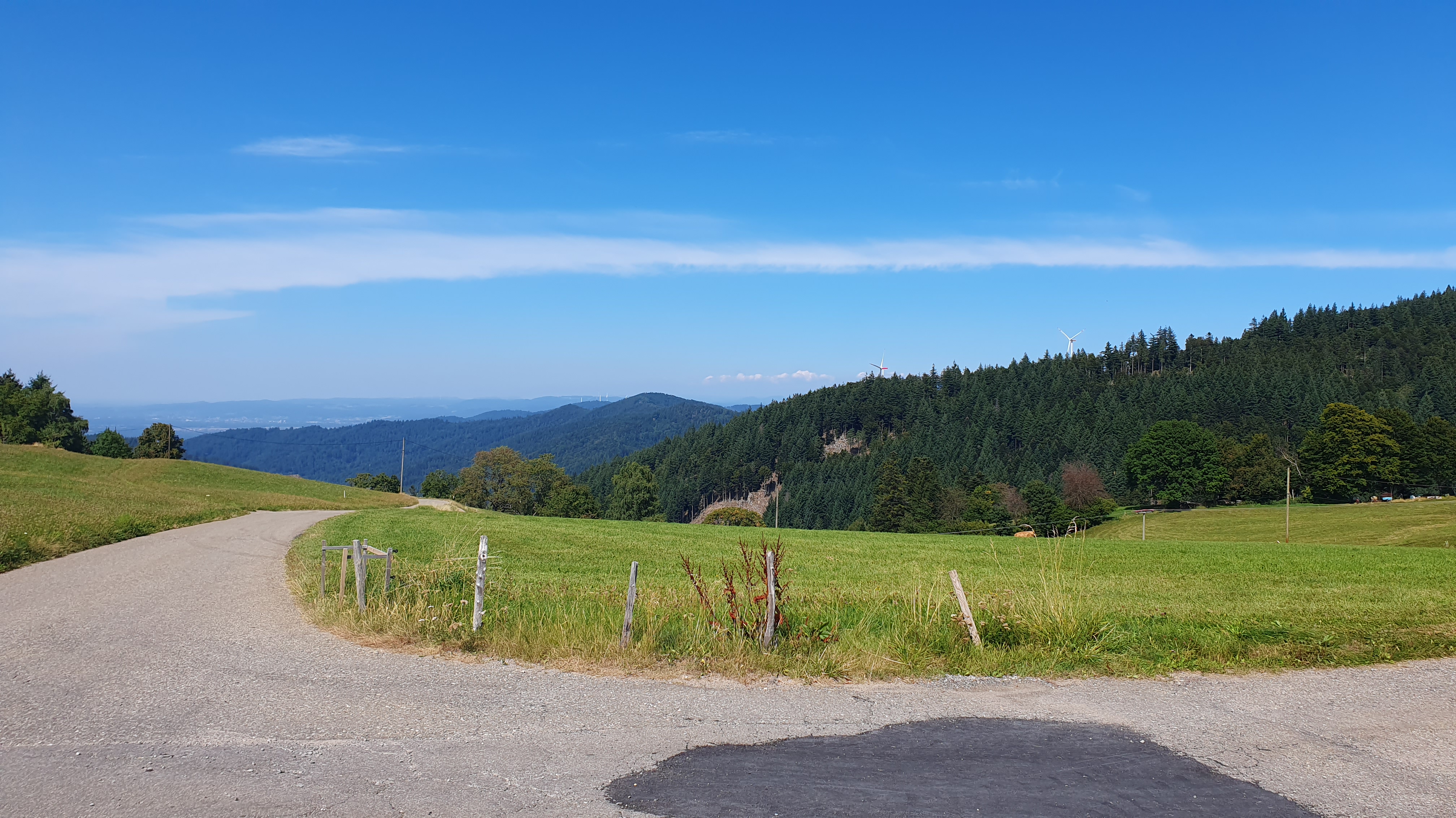 Aussicht von der Eduardshöhe