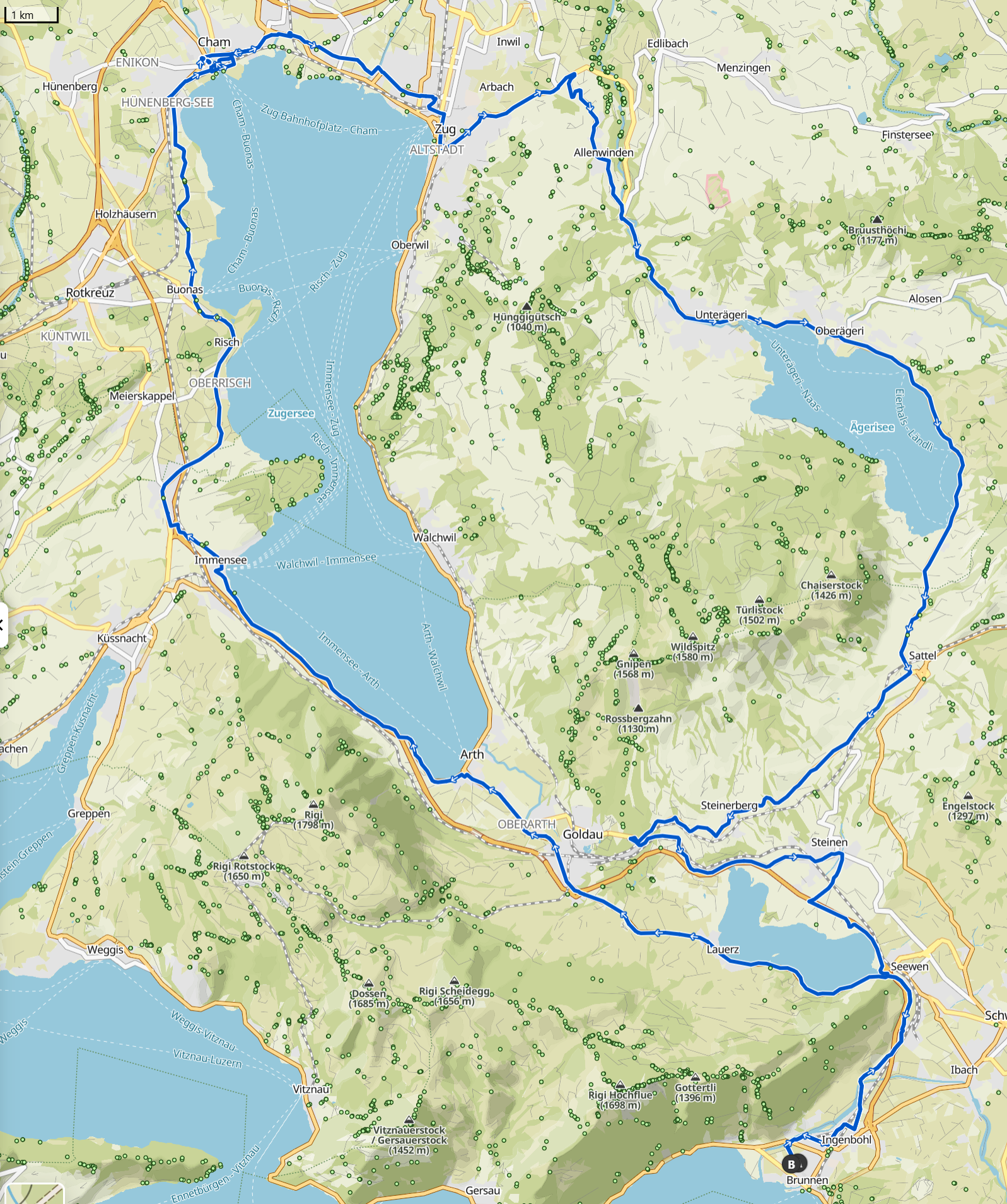 Karte der Rennradtour von Brunnen über Küssnacht, Zug, Allenwinden und Ägerisee zurück nach Brunnen