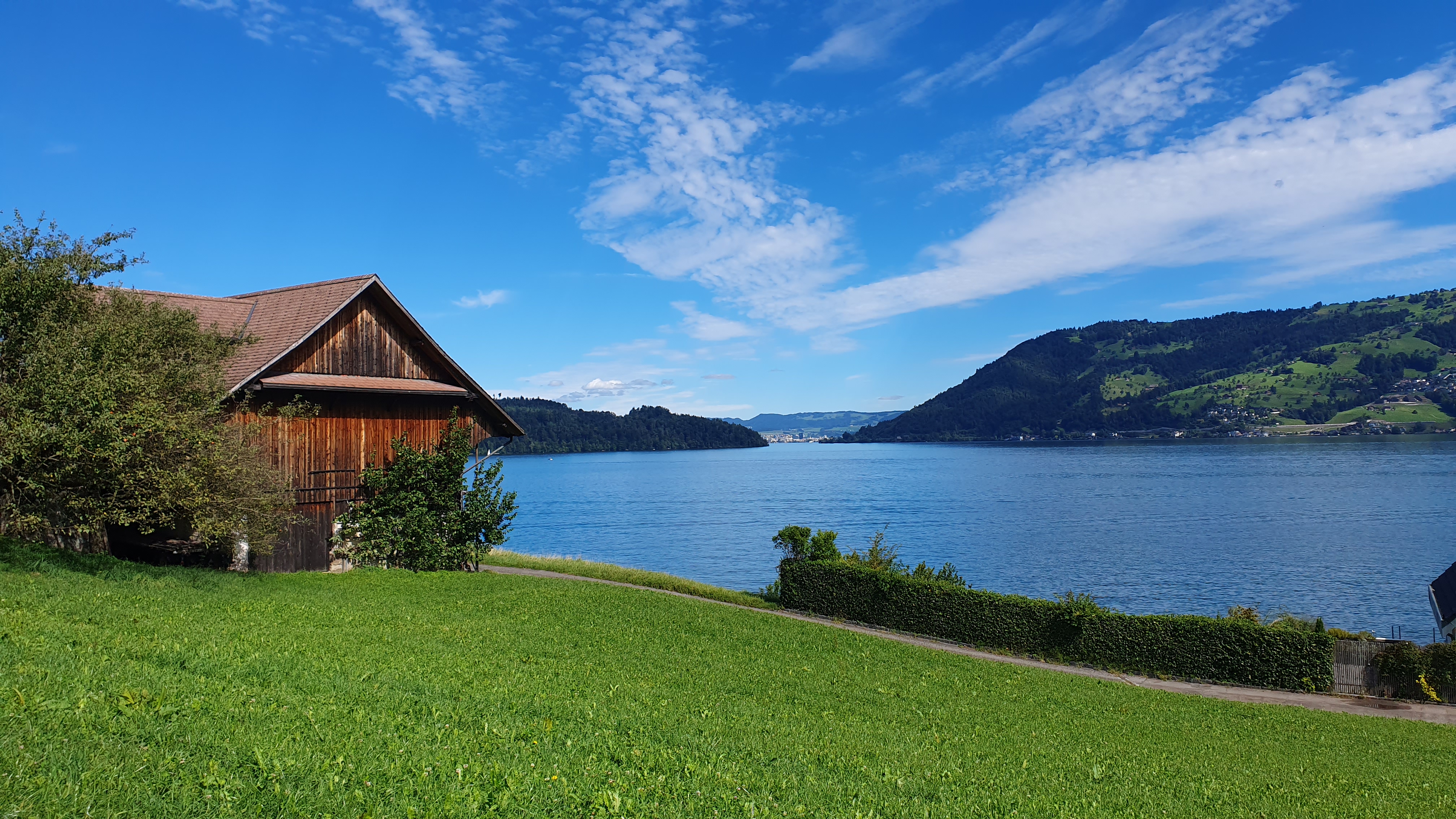 Aussicht von Immensee über den Zugersee Richtung Zug bei sonnigem Herbstwetter