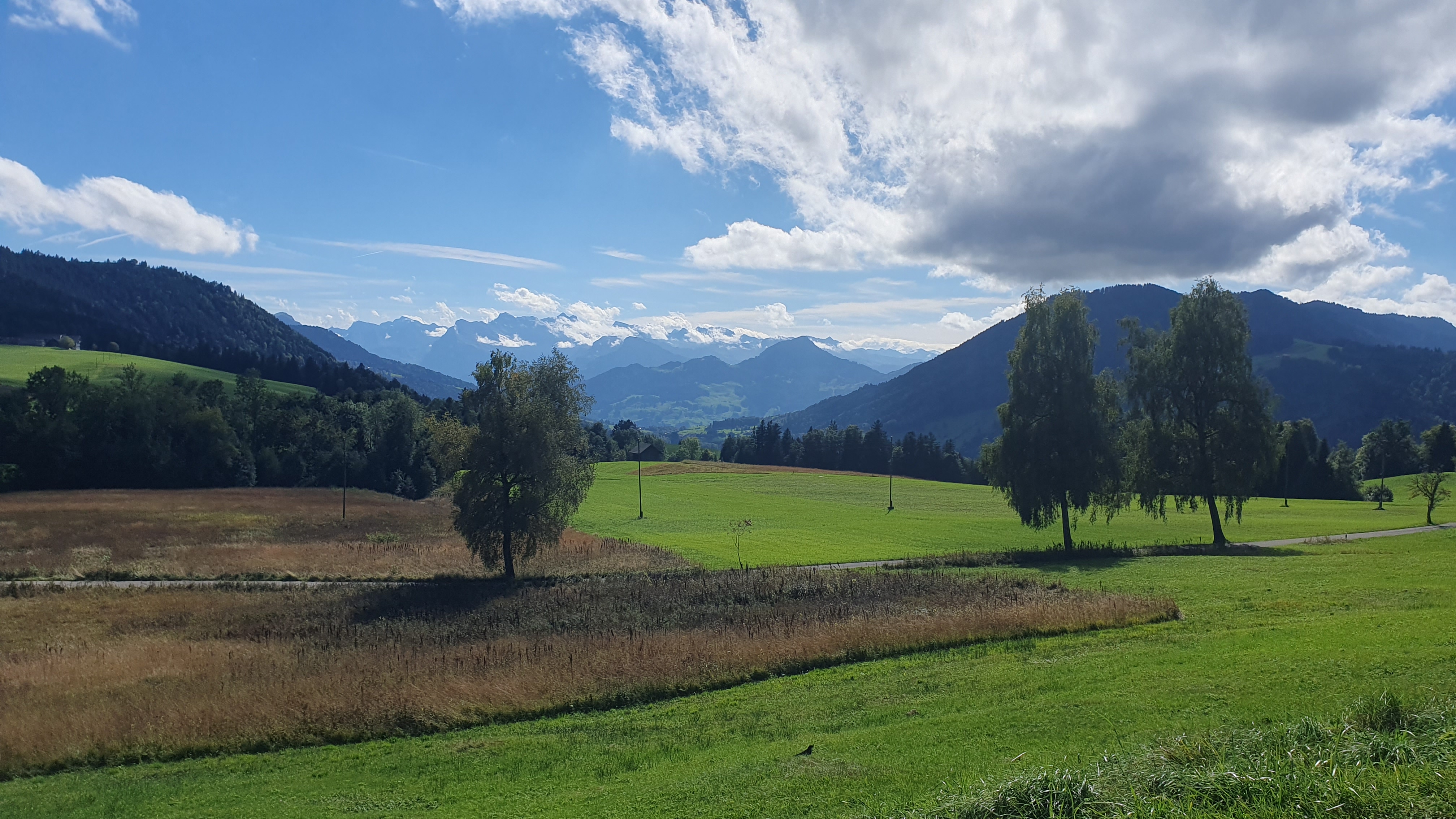 Aussicht bei Böschi Richtung Voralpen und Alpen