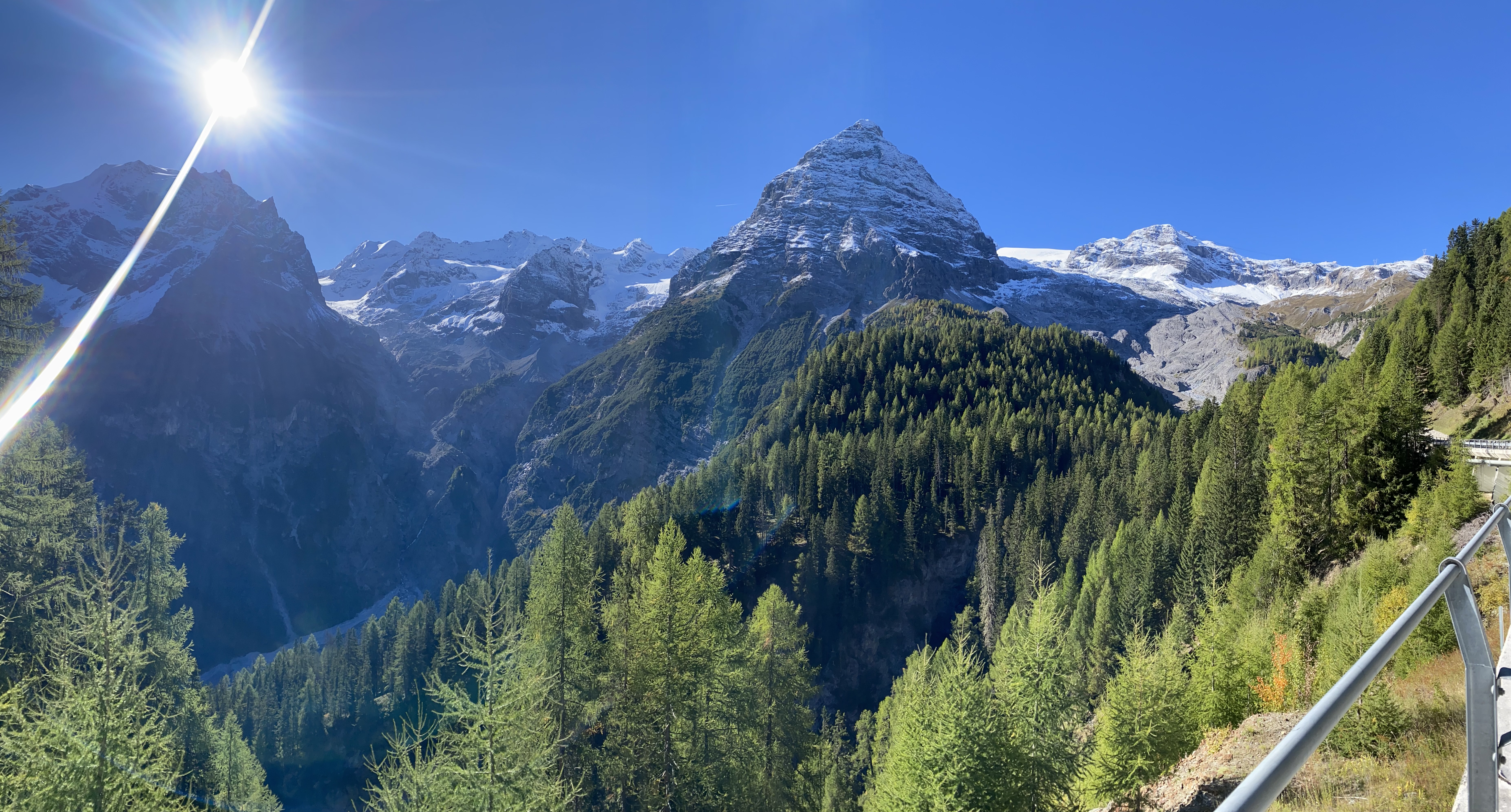 Ortlergruppe vom Stilfserjoch-Anstieg oberhalb Trafoi: Königspitze, Monte Zebrù und Ortler mit Gletscher; klarer Morgen, herbstlicher Nadelwald