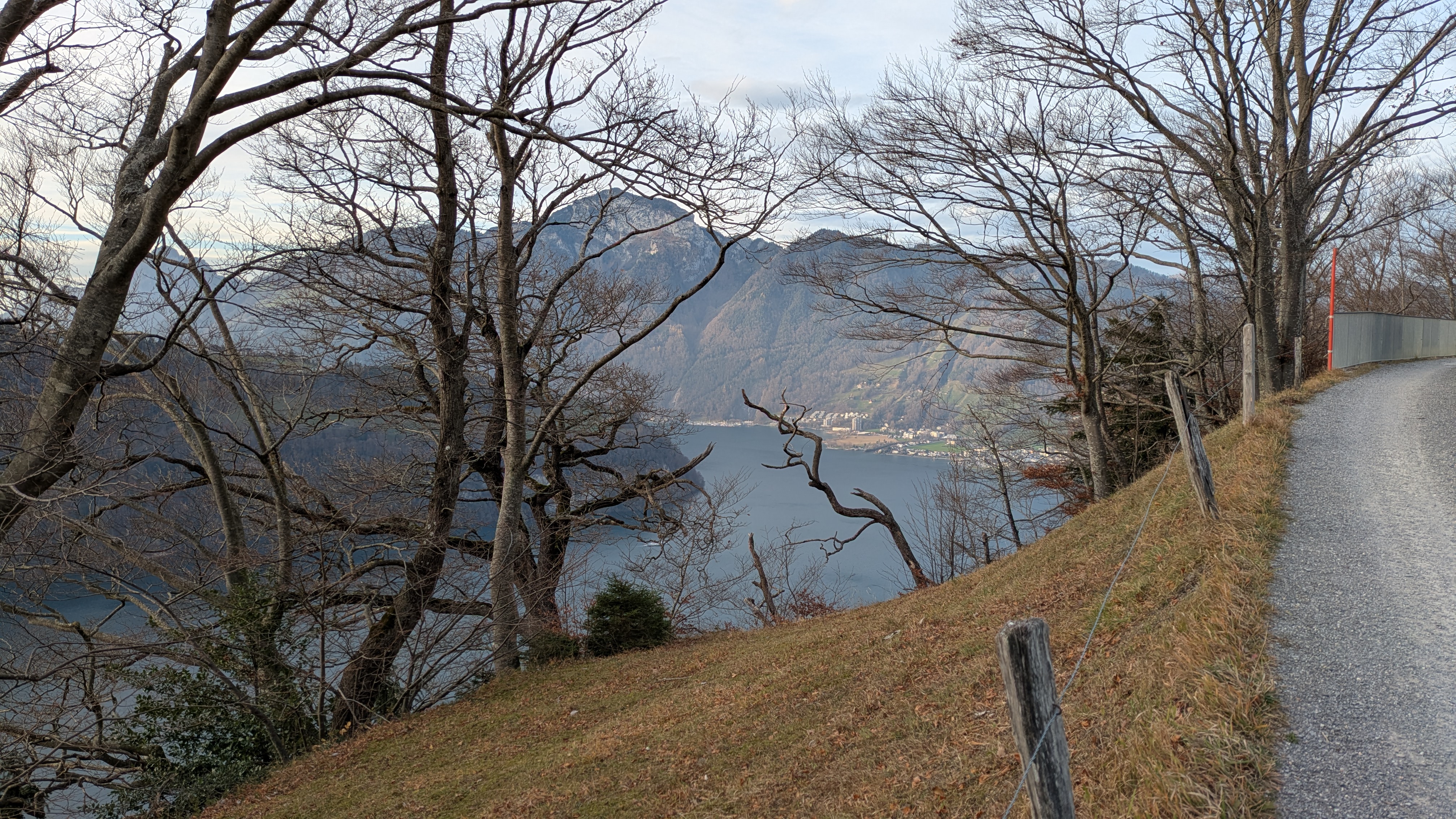 Blick hinab zum Vierwaldstättersee und nach Brunnen, steiler Stich Richtung Schilti, Rennradtour im Herbst