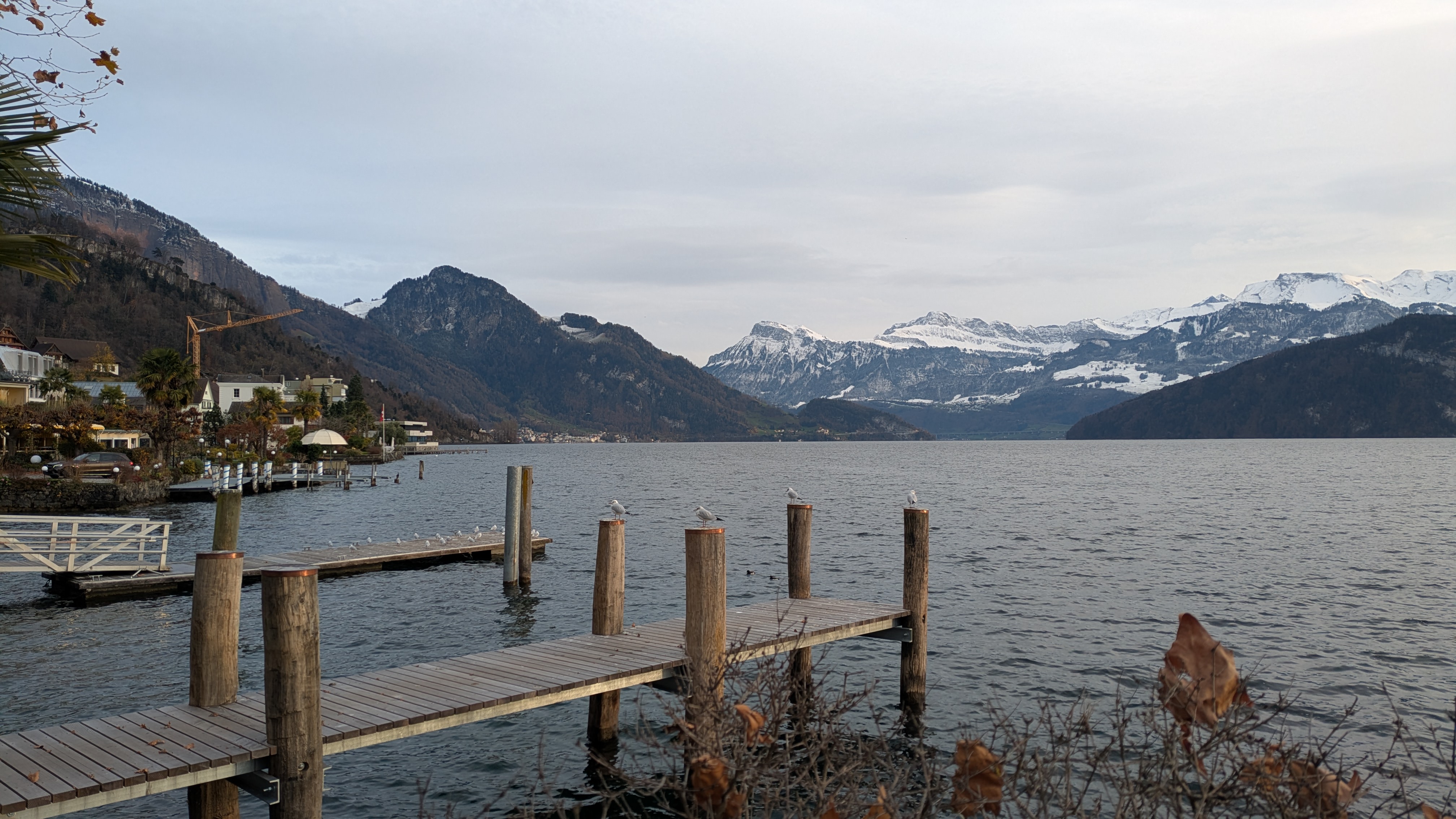 Holzsteg mit Möwen am Ufer von Weggis – Vierwaldstättersee, dunkle Uferhänge und verschneite Bergketten, spätherbstliche Stimmung