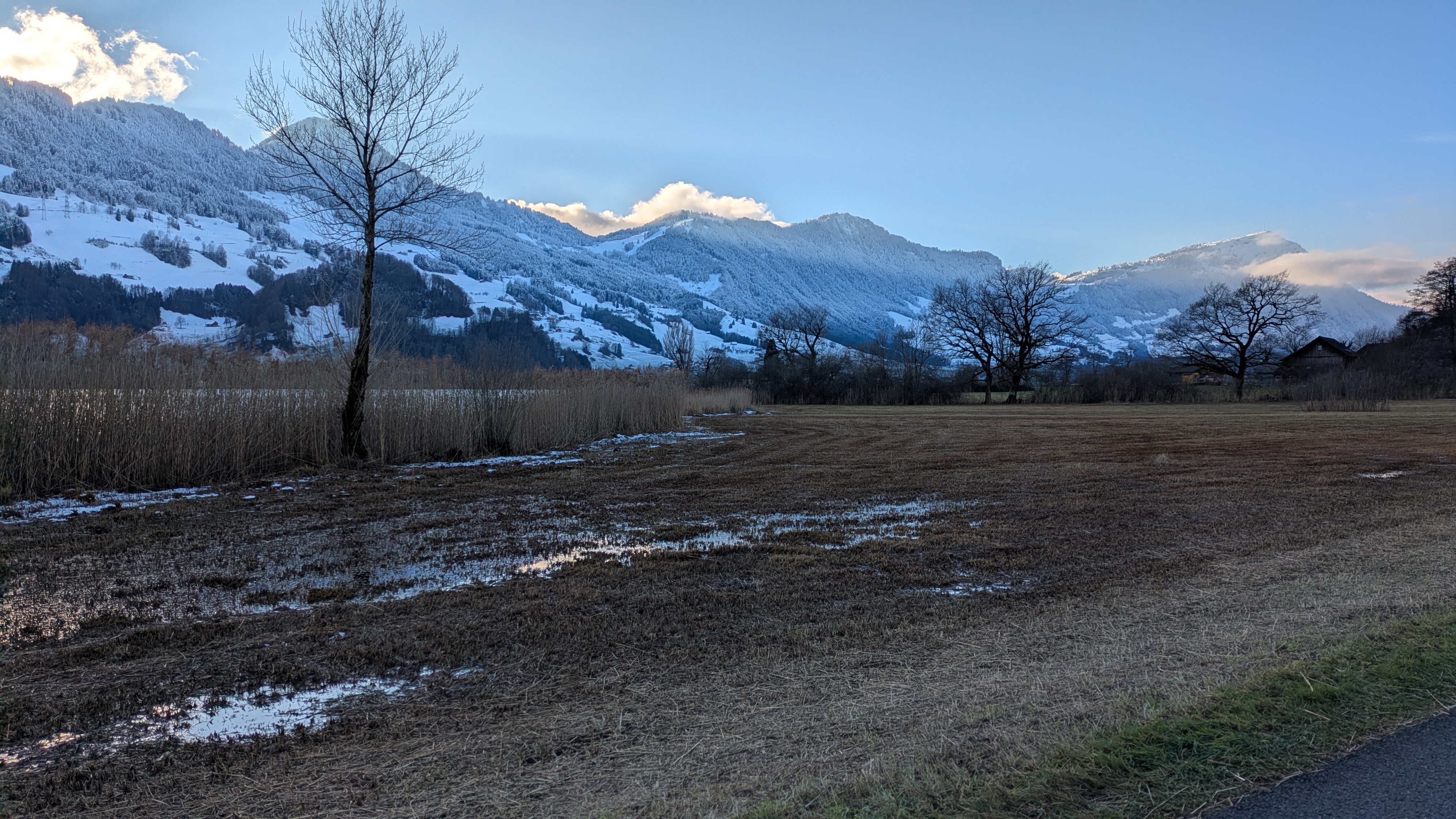 Lauerzersee mit Rigi Hochfluh bis Rigi – kaltes Winterlicht auf der Rennradtour