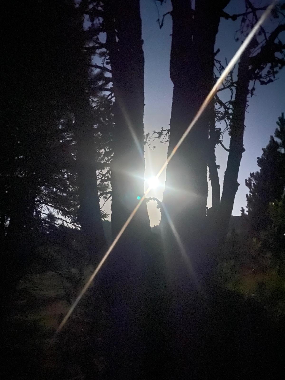 Nachtaufstieg zum Rickhubel im Mondlicht, Gegenlicht-Aufnahme